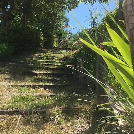 Apartament Chalet Ca' Panicale *
